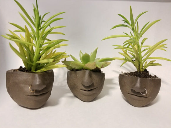 Standard Welcomes Lindsey Pauline