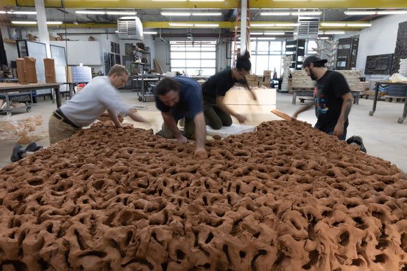 Peter Lane: Transformation of Earth