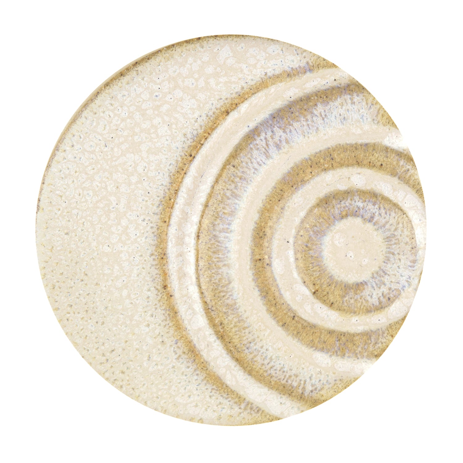 1268 Dappled Sunlight