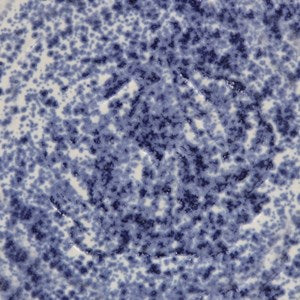 SW-152 Blue Splatterware